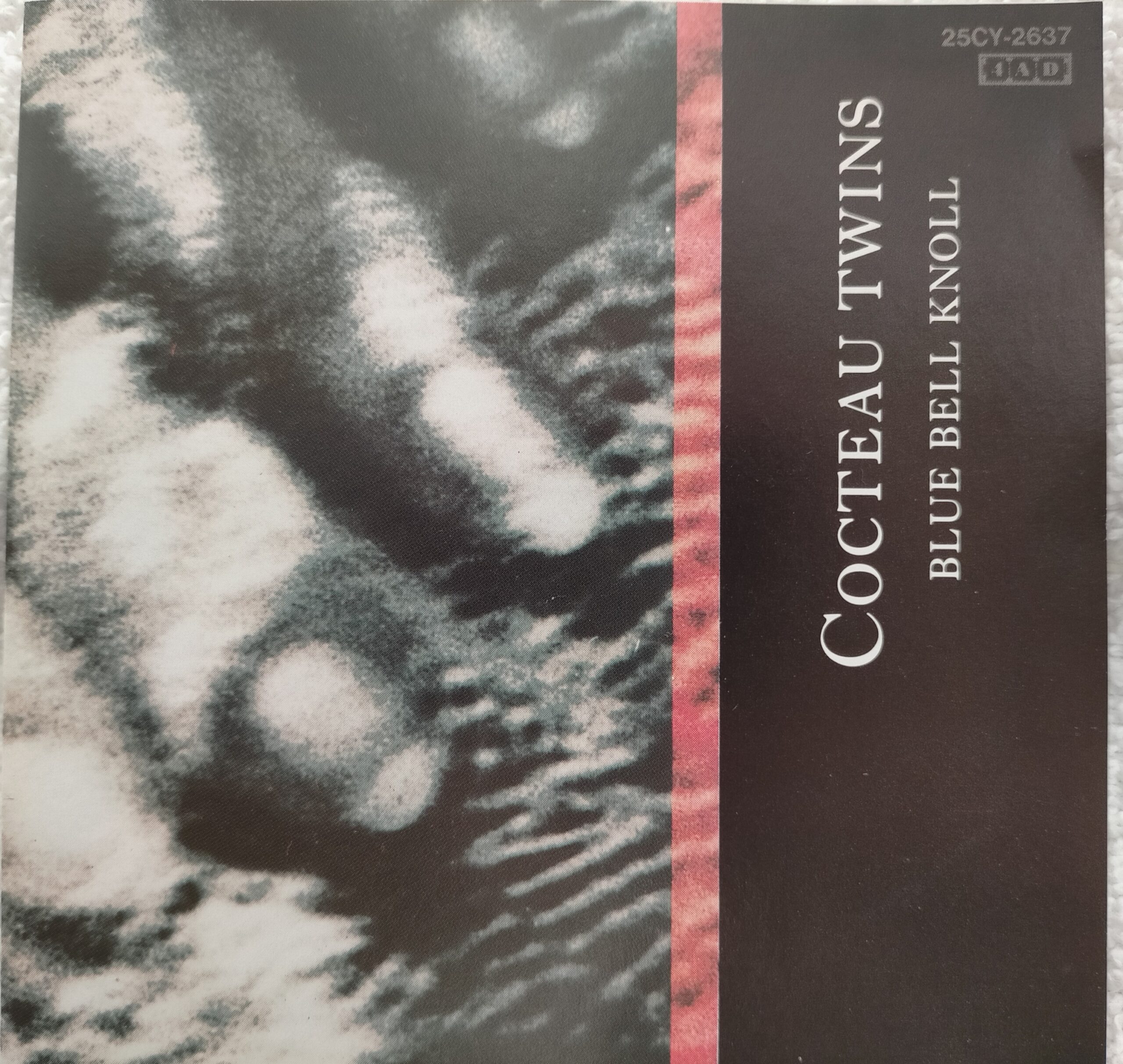 ともちんの聴いてみませんか 第３回 コクトー ツインズ ともちんダイアリー